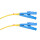 OS2 Duplex Jumper / LWL Patchkabel E2000-UPC / E2000-UPC R&M